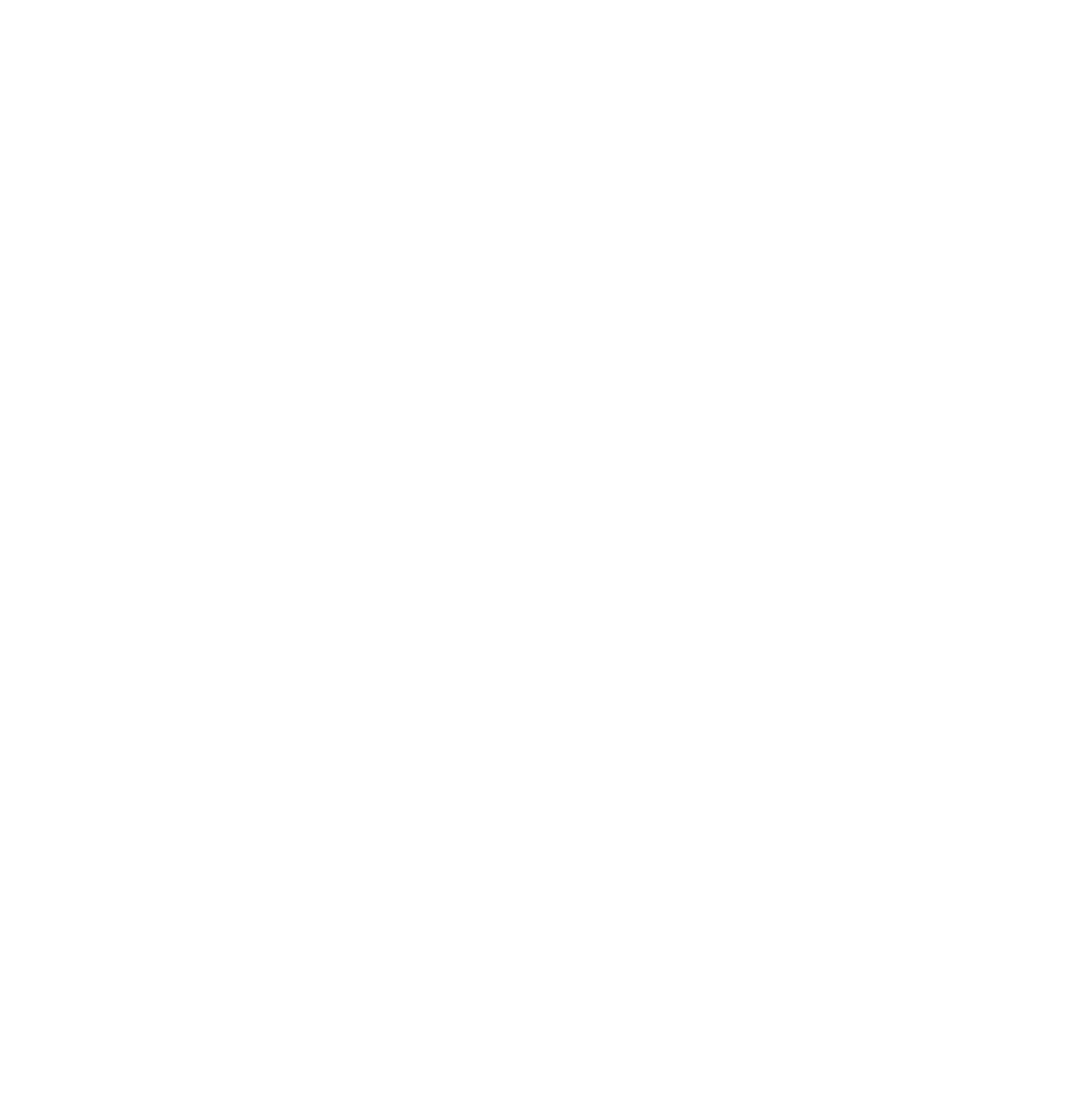 BAS Motors
